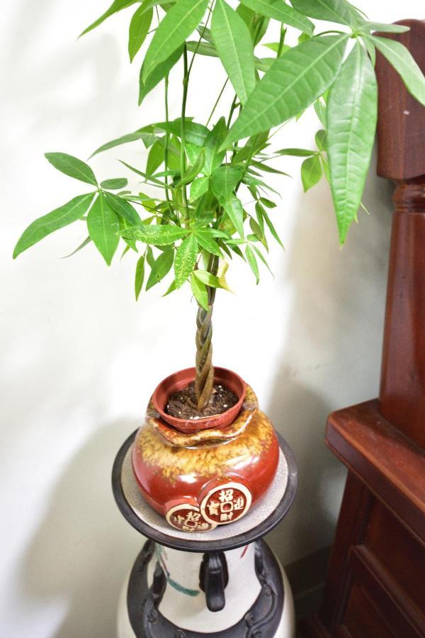 Fengru B&B Taitung المظهر الخارجي الصورة